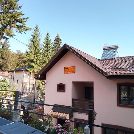 Casa Nicolas Buşteni エクステリア 写真