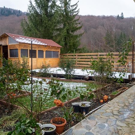 Casa Nicolas Buşteni エクステリア 写真