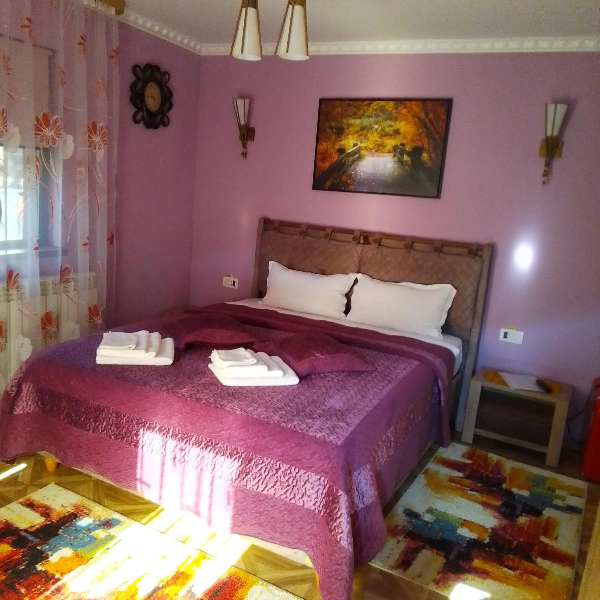 Casa Nicolas Buşteni エクステリア 写真