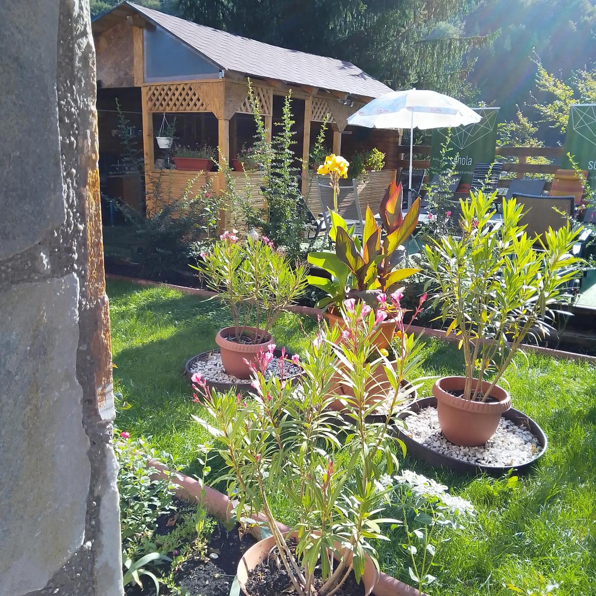 Casa Nicolas Buşteni エクステリア 写真