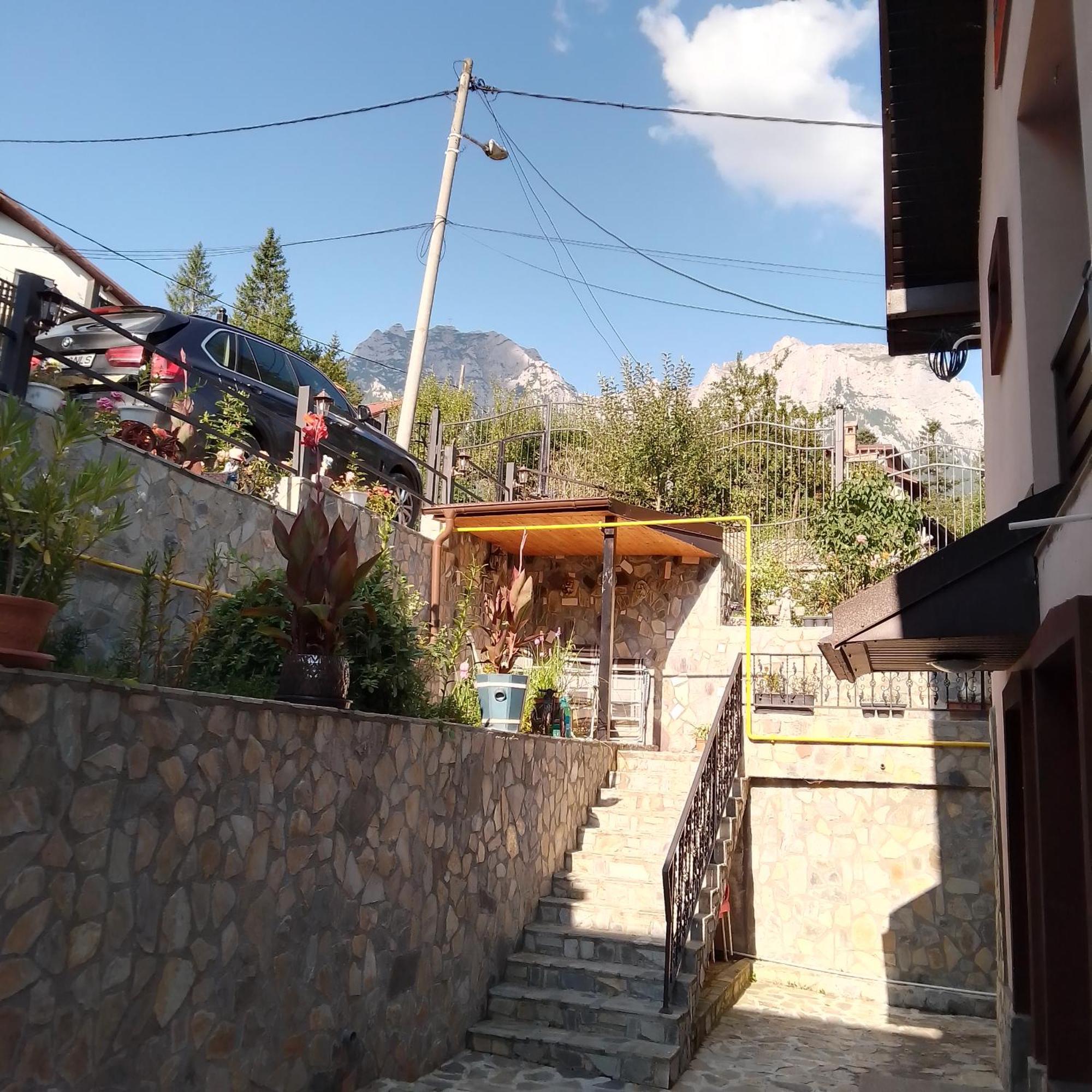 Casa Nicolas Buşteni エクステリア 写真